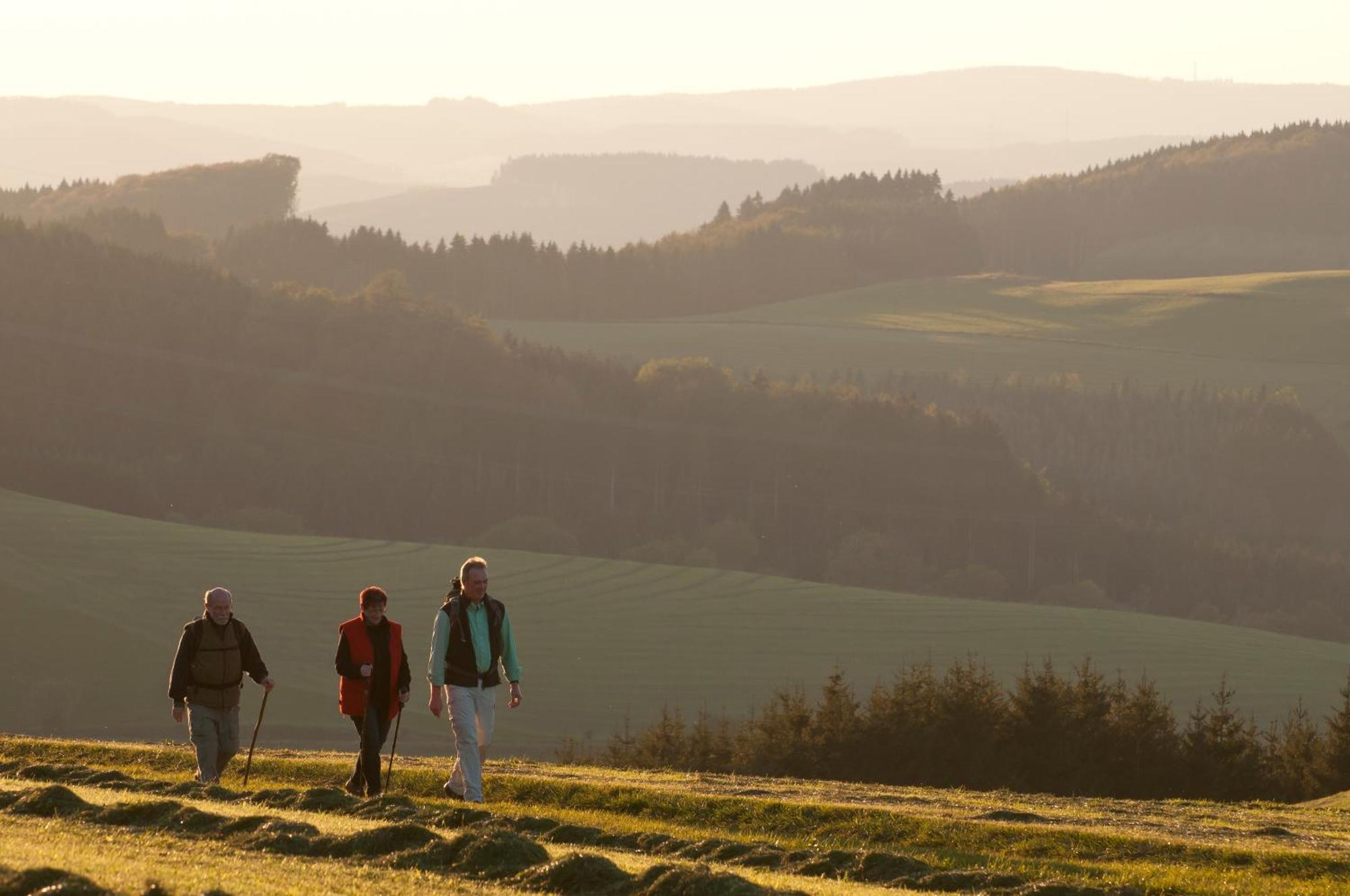 Wuellner'S Landgasthof Schmallenberg Zewnętrze zdjęcie